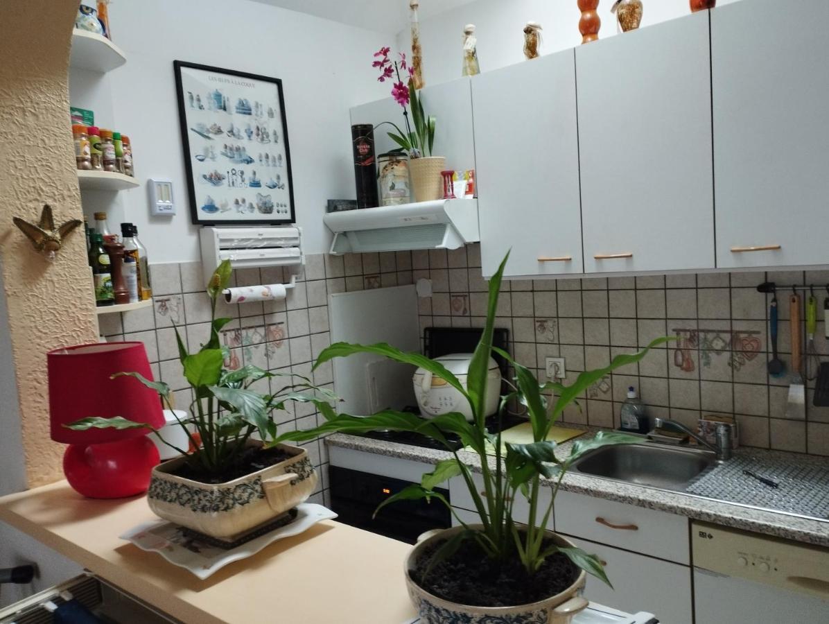 Chambre D'Hote Dans Maison Individuelle سان مالو المظهر الخارجي الصورة